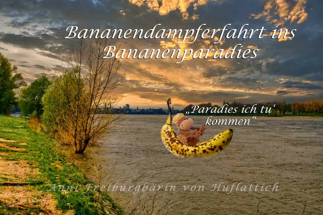 Bananendampfer zum Amazonas