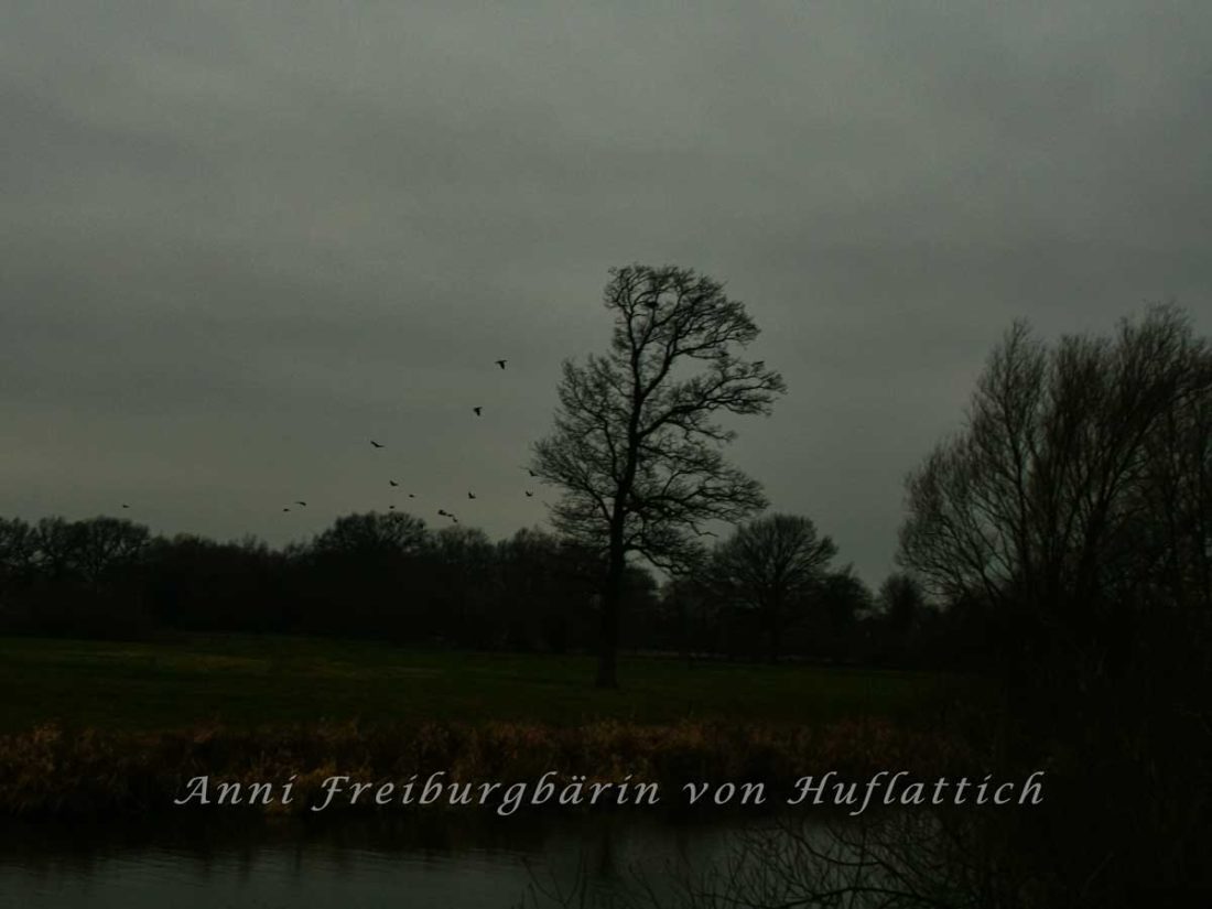 Baum