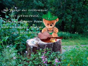 Schwarzwaldi in seinem Element: Ein gefällter Baum und seine Brotzeit