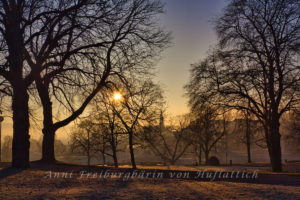 Sonnenaufgang im Rosensteinpark