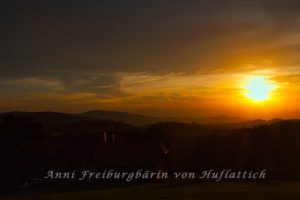 Morgendämmerung im Schwarzwald